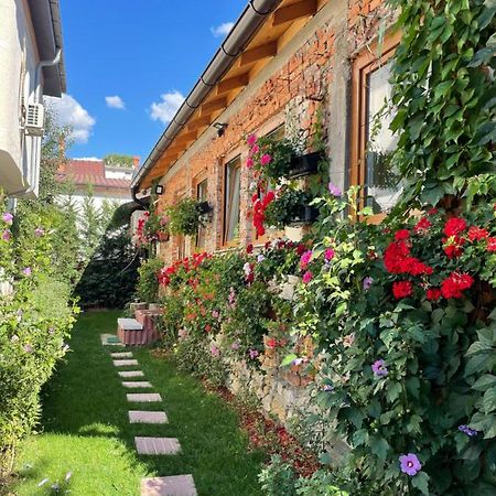 Flower House In The City Center! พริสตีนา ภายนอก รูปภาพ