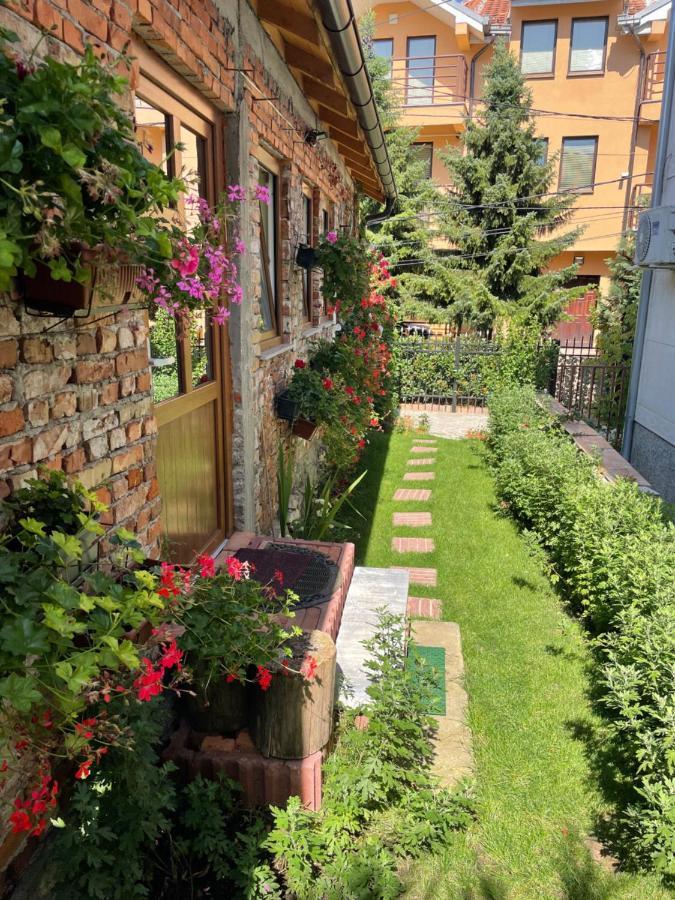 Flower House In The City Center! พริสตีนา ภายนอก รูปภาพ